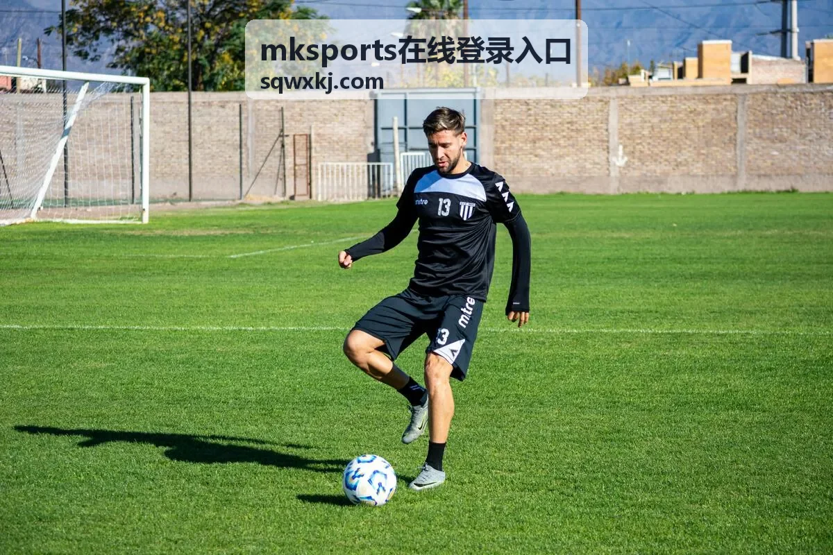 mksports在线登录入口 登录流程指引