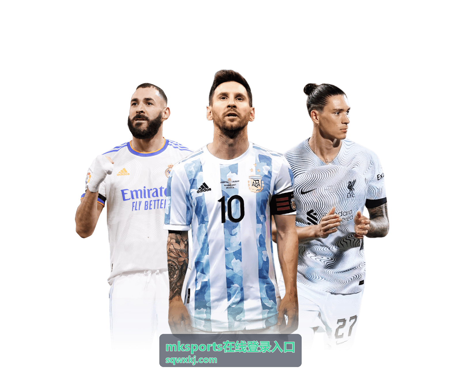 mksports在线登录入口 常见问题与帮助