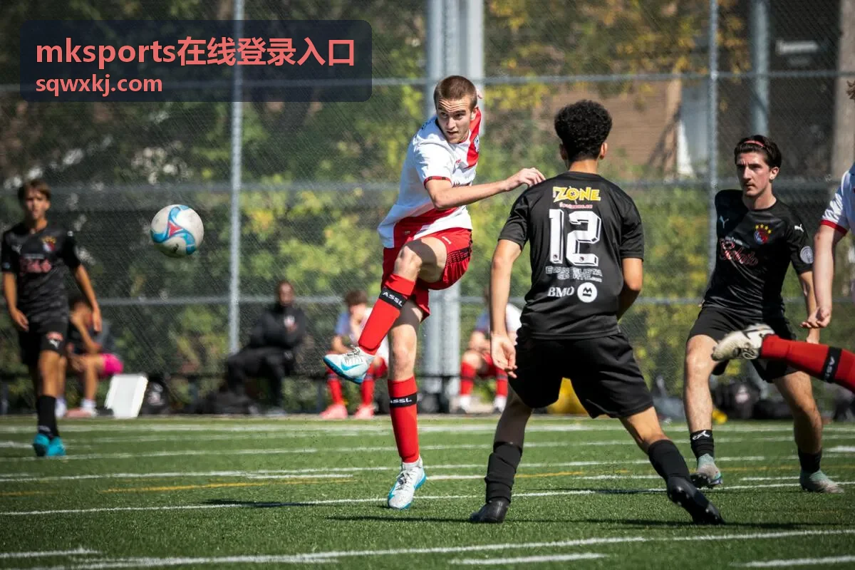 mksports在线登录入口 常见问题答疑